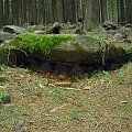 Lądek Zdrój - teren przy Arboretum ... #ZIEMIAKŁODZKA