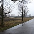 Nowokornino - Kiedyś spacerowałem po tych okolicach i byłem szczęśliwy a teraz nawet pogoda skłania do smutku #deszcz #droga #drzewo #NoweKornino #nowokornino #wieś #podlasie