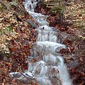 Lądek teren przy Arboretum - piekne źródełka ... #ZIEMIAKŁODZKA