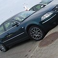 Passat W8