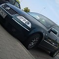 Passat W8