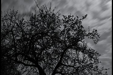 Czas płynie ... :) #noc #niebo #drzewo #czas