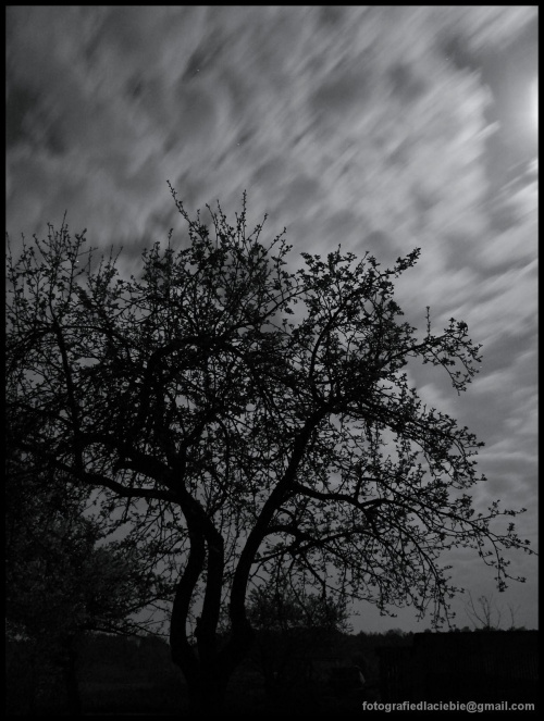 Czas płynie ... :) #noc #niebo #drzewo #czas