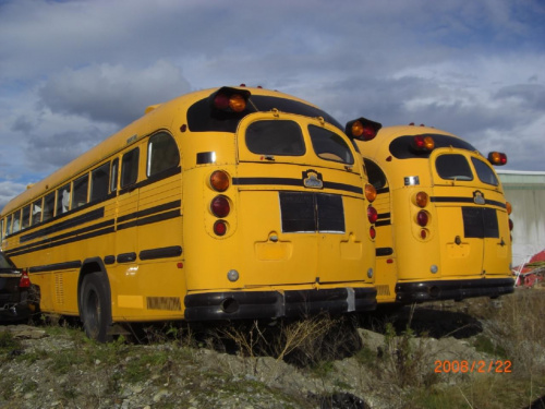 Crown School Bus