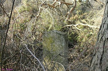 Okartowo - mogiły wojenne na cmentarzu wiejskim #Okartowo #CmentarzWOkartowie #MazurskieCmentarze