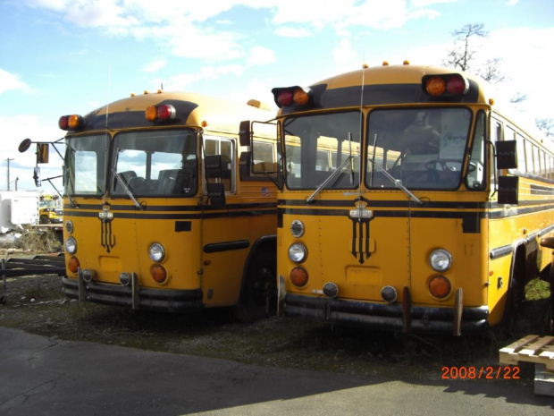 Crown School Bus