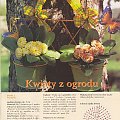 #SzydełkoweKwiatki