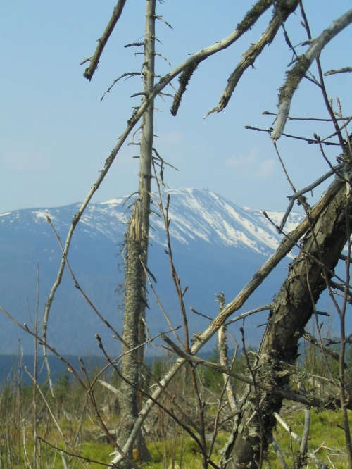 Ze Skawicy przez Halę Krupową na Diablak #góry #Beskidy #widoki #wiosna #wędrówki