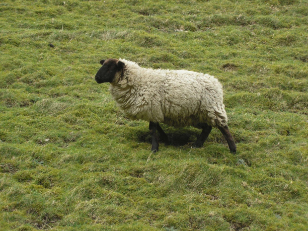 Peak District National Park