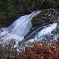 Scotland,Loch Ness,Caledonian Canal