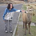 Scotland,Loch Ness,Caledonian Canal