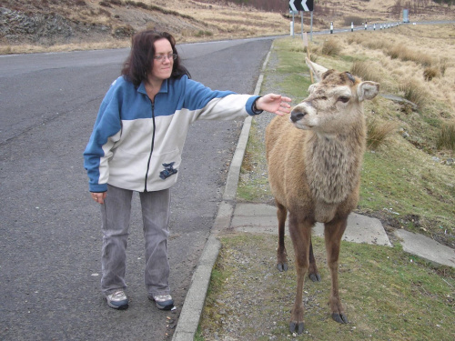 Scotland,Loch Ness,Caledonian Canal