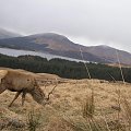 Scotland,Loch Ness,Caledonian Canal