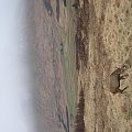 Scotland,Loch Ness,Caledonian Canal