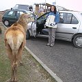 Scotland,Loch Ness,Caledonian Canal