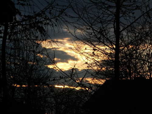 Takie sobie chmurki przed zachodem słońca ;) #chmury #chmura #drzewa #drzewo #widok