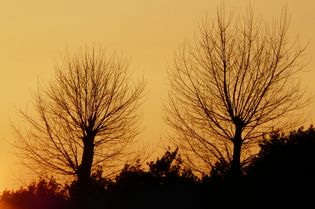 wieczorny , kwietniowy spacer #ZachódSłońca