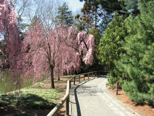 Wiosna w parku