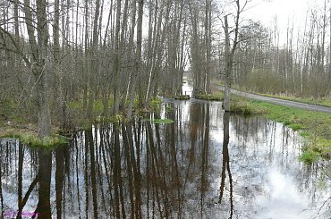Gdzieś na Mazurach #Mazury