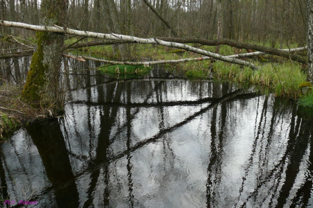 Gdzieś na Mazurach #Mazury