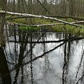 Gdzieś na Mazurach #Mazury