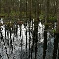Gdzieś na Mazurach #Mazury