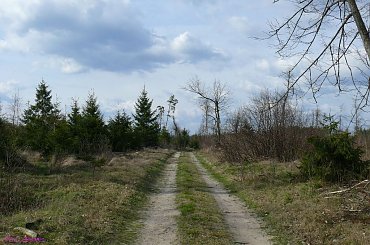 Droga na cmentarz w Pogobiu Przednim #PogobiePrzednie