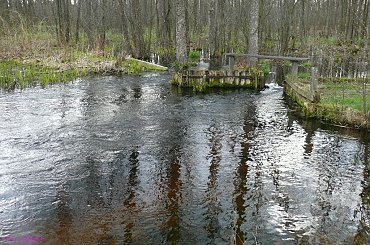Gdzieś na Mazurach #Mazury