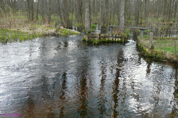 Gdzieś na Mazurach #Mazury