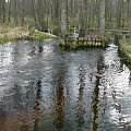 Gdzieś na Mazurach #Mazury