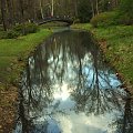 wiosna w parku Szczytnickim #park #rośliny #natura #przyroda #spacer