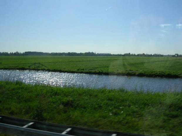 Widok z autobusu-holenderskie kanały
