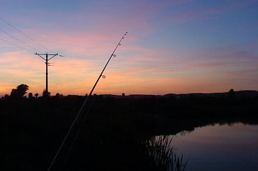 Cholerzyn1 #NocneZdjęcia #przyroda