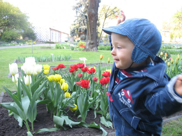 Ogród Botaniczny