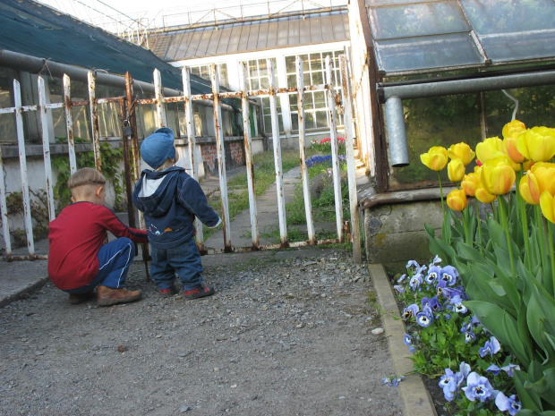 Ogród Botaniczny