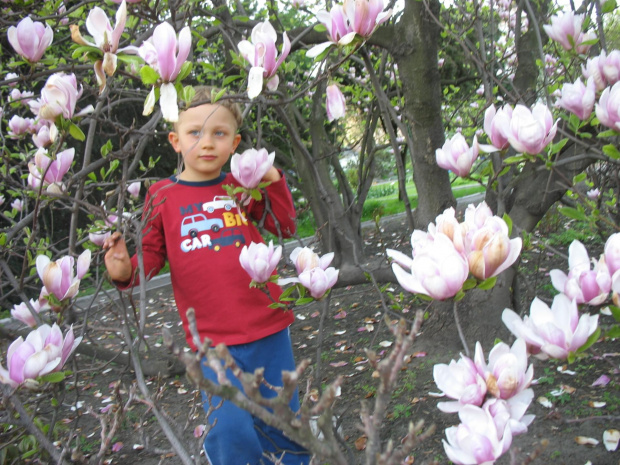 Ogród Botaniczny