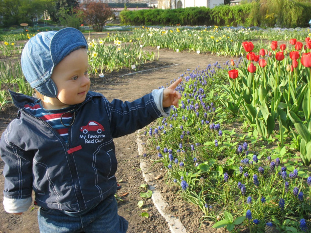 Ogród Botaniczny