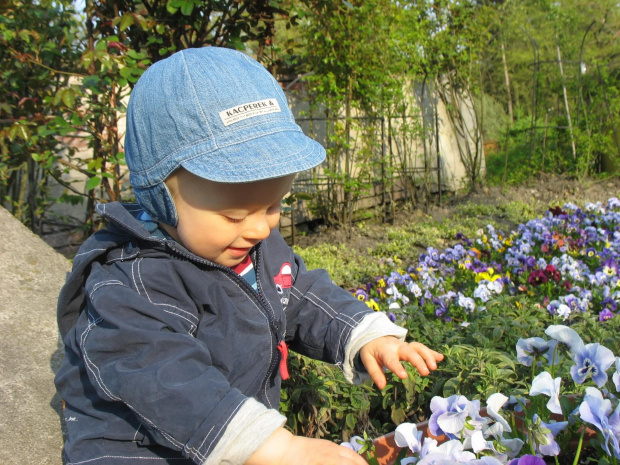 Ogród Botaniczny