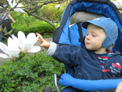 Ogród Botaniczny