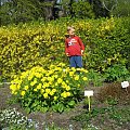 Ogród Botaniczny