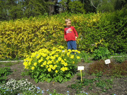 Ogród Botaniczny