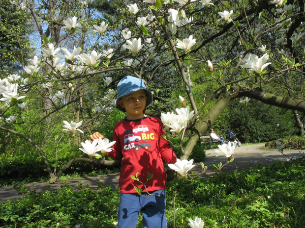 Ogród Botaniczny