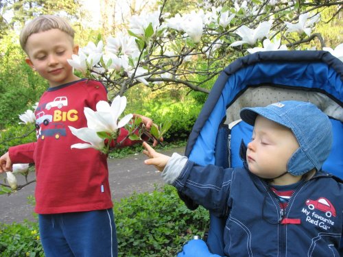 Ogród Botaniczny