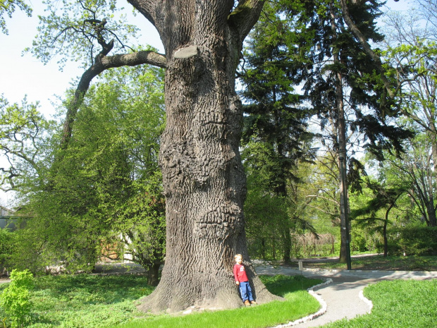 Ogród Botaniczny