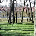 Park przy rzece Czarnej, dawne koszary w Staszowie. Marzec 2008 r. #przyroda