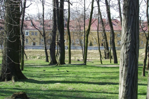 Park przy rzece Czarnej, dawne koszary w Staszowie. Marzec 2008 r. #przyroda