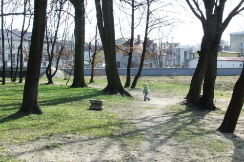 Park w Staszowie wiosną 2008 r. #Zwiedzanie