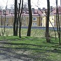 Park, rz. Czarna, dawne koszary w Staszowie. Marzec 2008 r. #przyroda