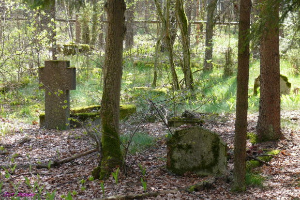 Karpa - cmentarz wiejski #Karpa #MazurskieCmentarze