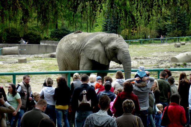 #ZOO #Chorzów